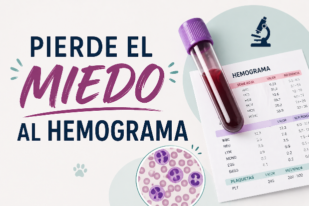Pierde el miedo al hemograma — Curso online para auxiliares técnicos veterinarios